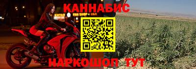 индика Будённовск