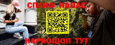 индика Будённовск