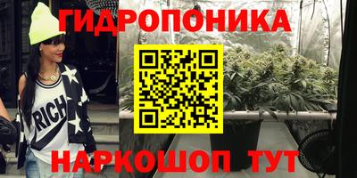 индика Будённовск