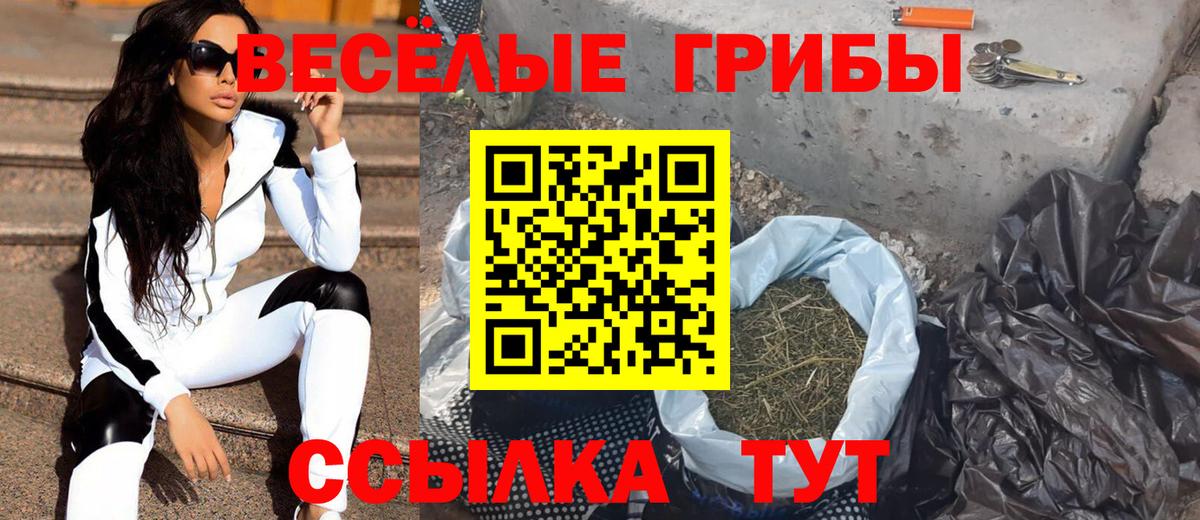Галлюциногенные грибы Psilocybine cubensis Полевской
