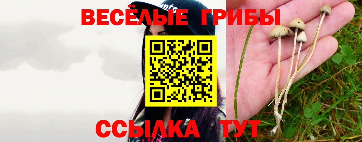 Полевской  Галлюциногенные грибы MAGIC MUSHROOMS  Галлюциногенные грибы Magic Shrooms  Вход с VPN 
